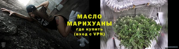 хмурый Новозыбков