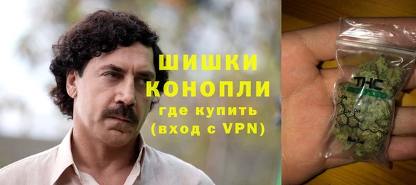 дурь Новодвинск
