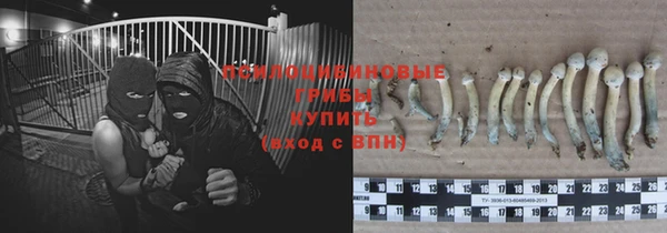 твердый Алзамай