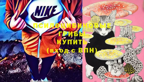 прущая мука Алексеевка