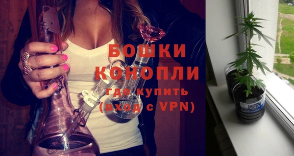 дурь Новодвинск